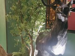 -新白鹿餐厅(银泰西湖文化广场店)