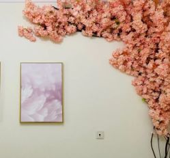 -VE专注问题肌·赛诺龙&科学美肤中心