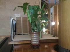 -上海浦东假日酒店