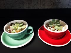 -Seesaw Coffee(环贸iapm店)