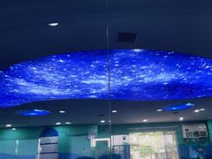 -小泳士游泳训练基地(芥园西道店)