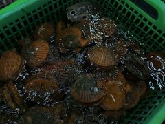 -众味海鲜大排档·活海鲜·潮汕味(南澳店)