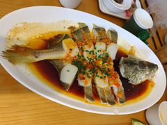 -大鸽饭(马王堆店)