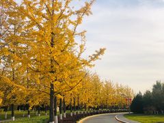 -北京园博大酒店