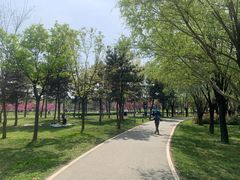-洨河生态公园