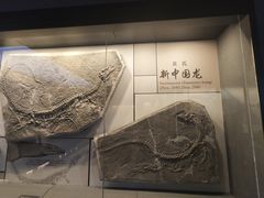 -贵州省地质博物馆