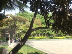 -莲湖公园