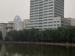 -团结湖公园
