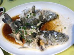 -高佳庄·舟山海鲜(海景旗舰店)