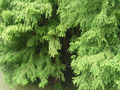 景点-溱湖国家湿地公园