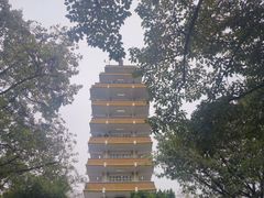 -鹅岭公园瞰胜楼