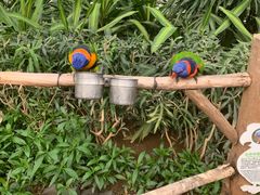 -南宫五洲植物乐园