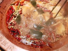 -成老灶火锅鸡(高东街店)