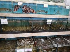 水产区-秋姐美食店(旅游大道店)