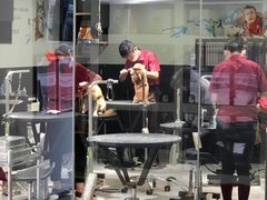 -宠物家(角门东店)