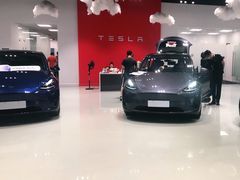 -TESLA 特斯拉(深圳观澜特斯拉直营钣喷中心)
