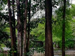 -荔湾湖公园