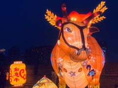 -西安城墙·碑林历史文化景区