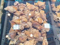 -粤盛海鲜平价店(洛溪食街店)