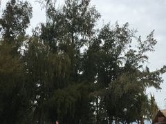 -玫瑰海岸文化旅游度假区