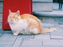 -思南书局(复兴中路店)