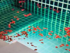 -春晖园度假酒店温泉