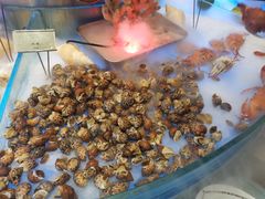 东风螺-百合酒店-香榭里自助餐厅