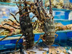 -船奇蒸汽海鲜·闽菜(八市海鲜总店)