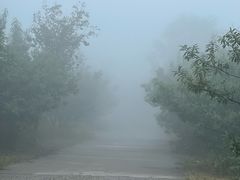 -北京西山国家森林公园