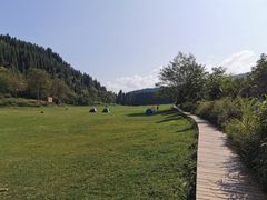 -武陵山森林公园