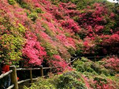 -木兰云雾山