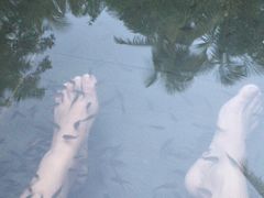 -三亚珠江南田温泉度假区