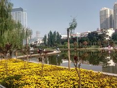 -雁滩公园