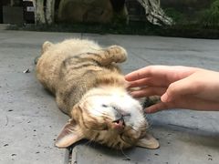 -竹吟山房