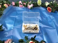 -彩虹桥宠物火化殡葬善终服务(金乐大厦店)