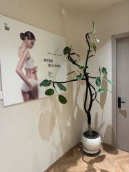 -美丽妈妈产后恢复中心(南桥旗舰店)