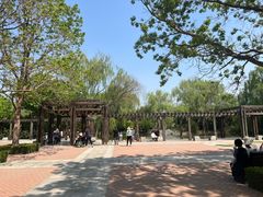 -郑州植物园