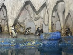 -太平洋海底世界