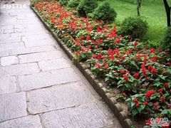 -庐山风景区花径公园