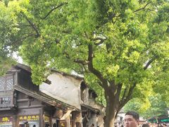 -忆秦园小笼包(惠山古镇总店)