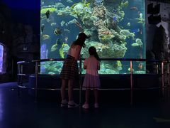 -芜湖新华联大白鲸海洋公园