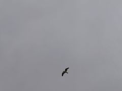 -苏州吴中太湖旅游区