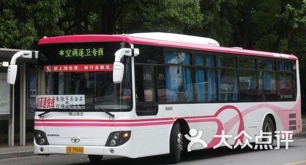 公交车莲卫专线图片-郑州公交车