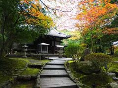 -醍醐寺