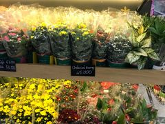 -Co.opmart (Cong Quynh)