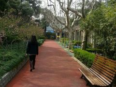 -徐家汇源景区-衡山公园