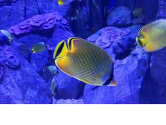 -成都浩海立方海洋公园