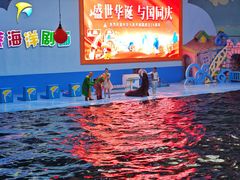 -蓬莱欧乐堡海洋极地世界