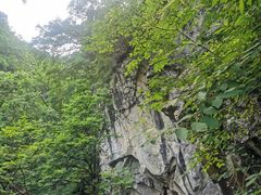 -陕西省红河谷森林公园