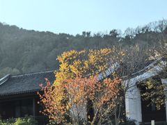 -杭州雅谷泉山庄酒店-餐厅